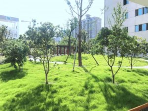 金色怡福护理院