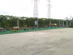 金龙养护院