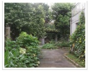 凌云敬老院