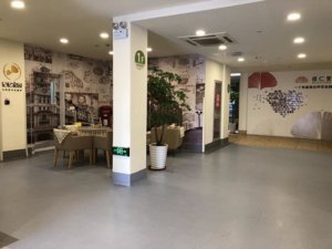 徐家汇街道龙吴路养老院
