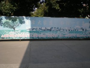 白金养老院