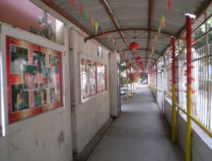 白金养老院