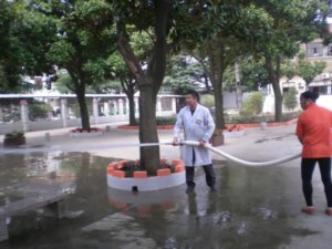 白金养老院