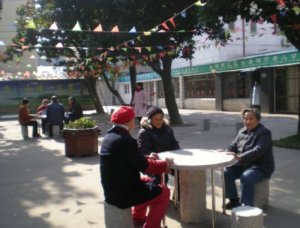白金养老院