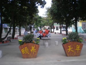 白金养老院