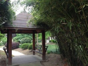 大众养老院