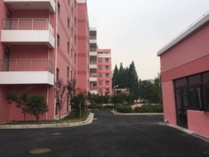 淞南镇养老院