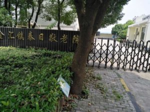 金汇镇泰日敬老院