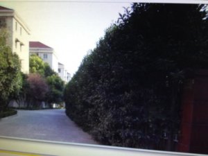 天伦敬老院