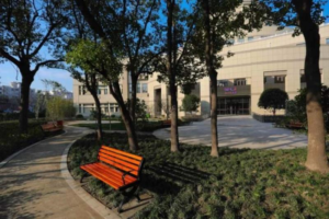 新金桥金杨养老院