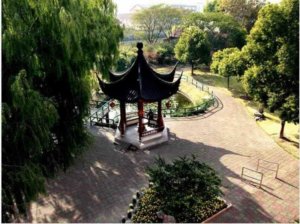 杨行镇宝山敬老院